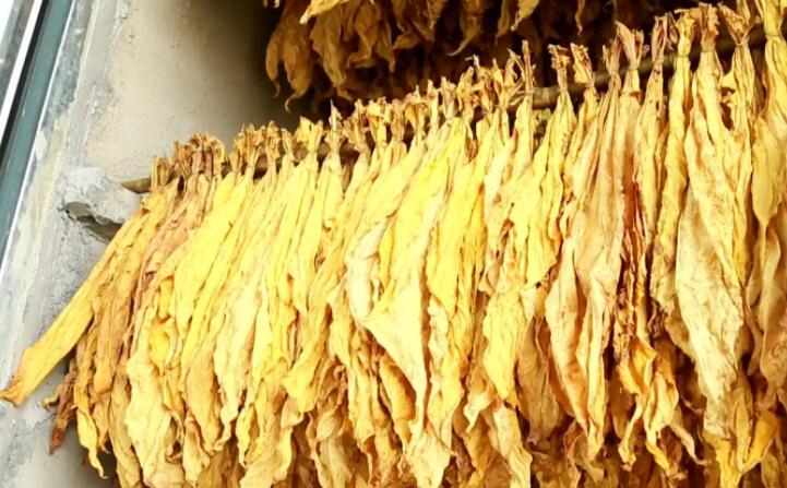 生物質(zhì)顆粒機加工的顆?？緹? style=
